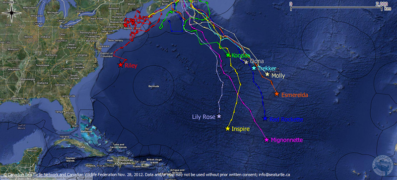 map-nov28map_v2