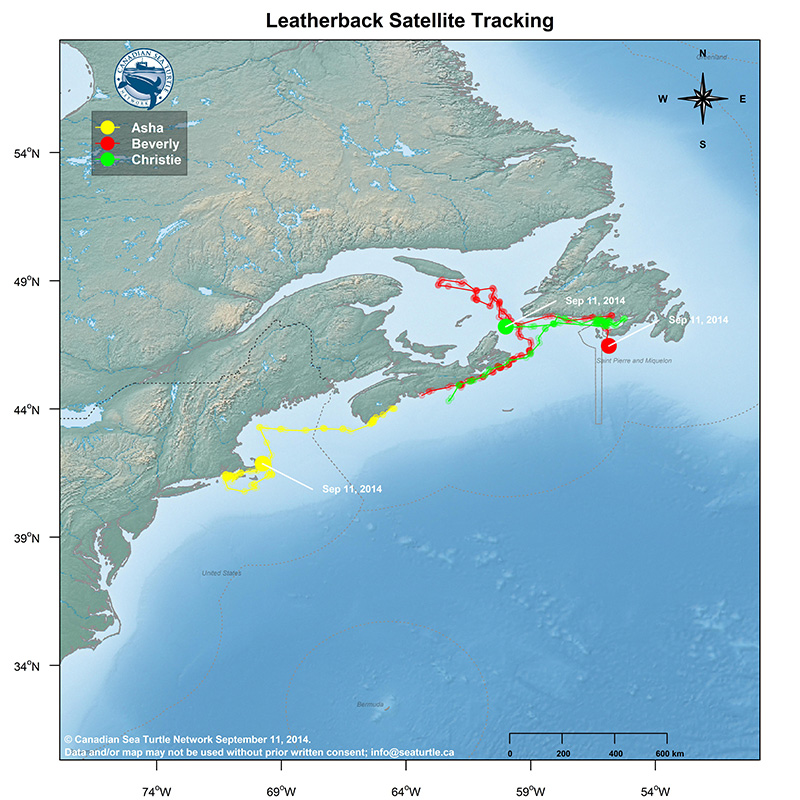 2014_09_11_map_1 » Canadian Sea Turtle Network