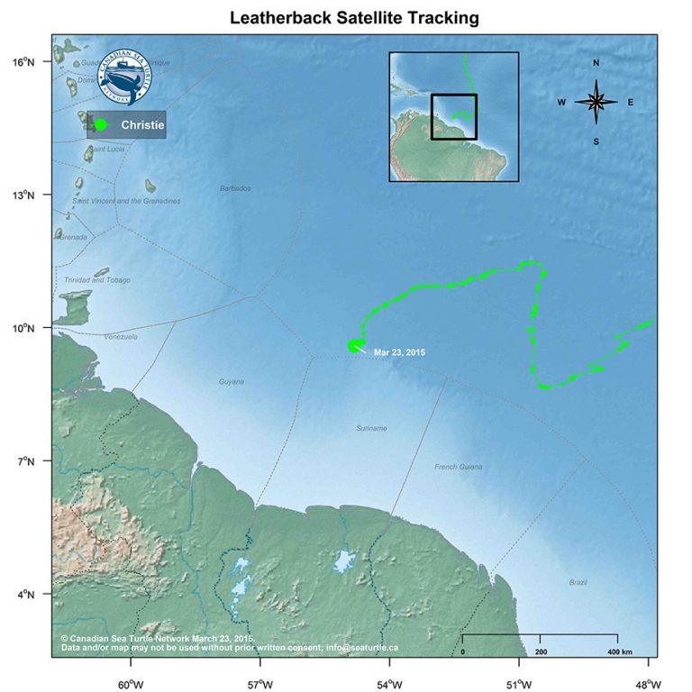 Time for Trinidad » Canadian Sea Turtle Network