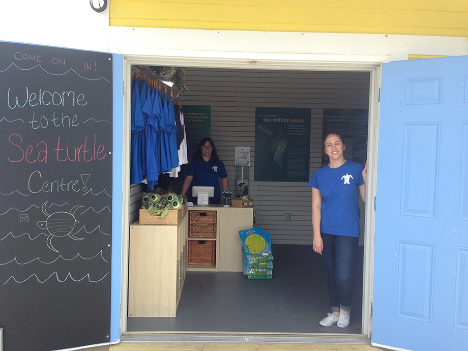 First day! Alex, one of our amazing volunteers, is at the door. Emily, one of our sea turtle interns, is behind the desk. I should mention that BOTH of our sea turtle interns are named Emily this year. Emily F. is in this picture.