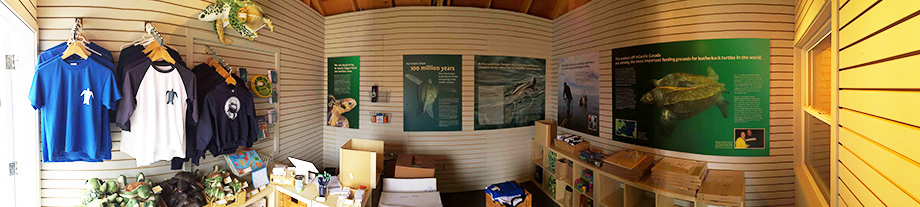 What the inside looked like two nights ago...almost ready! Just waiting for the amazing, but more delicate, sea turtle specimens to be installed, like the bones of a leatherback flipper. We kept those items until the last so as not to risk damaging them.