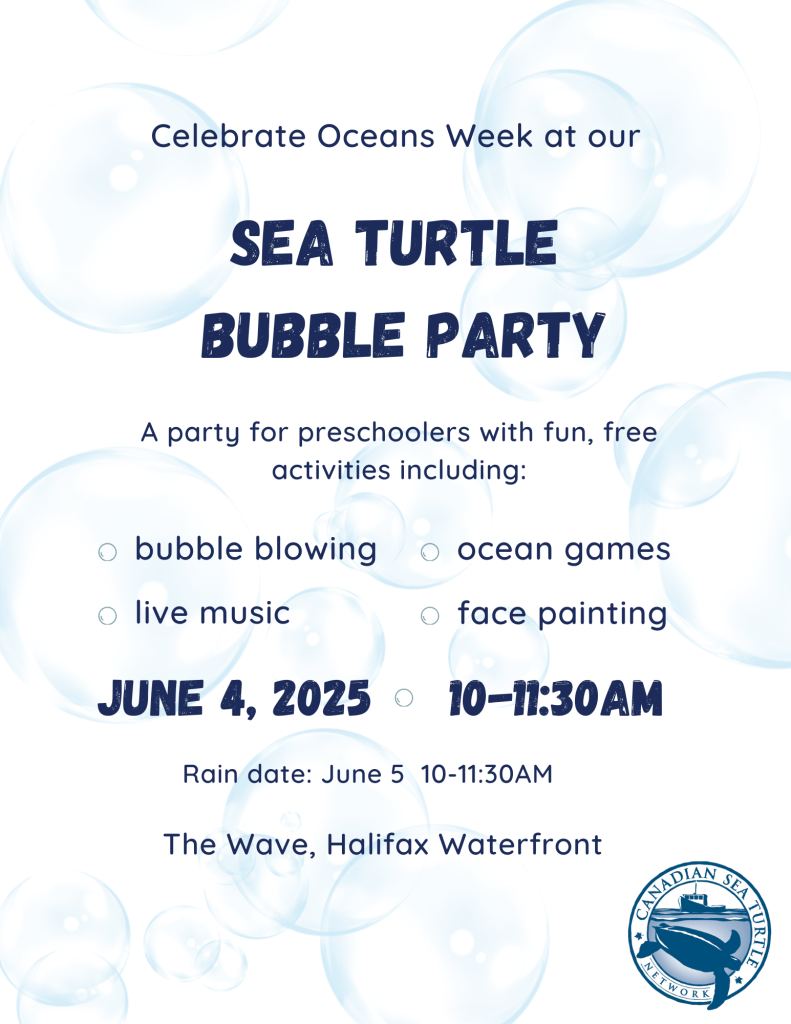 bubble-party-flyer bubble-party-flyer